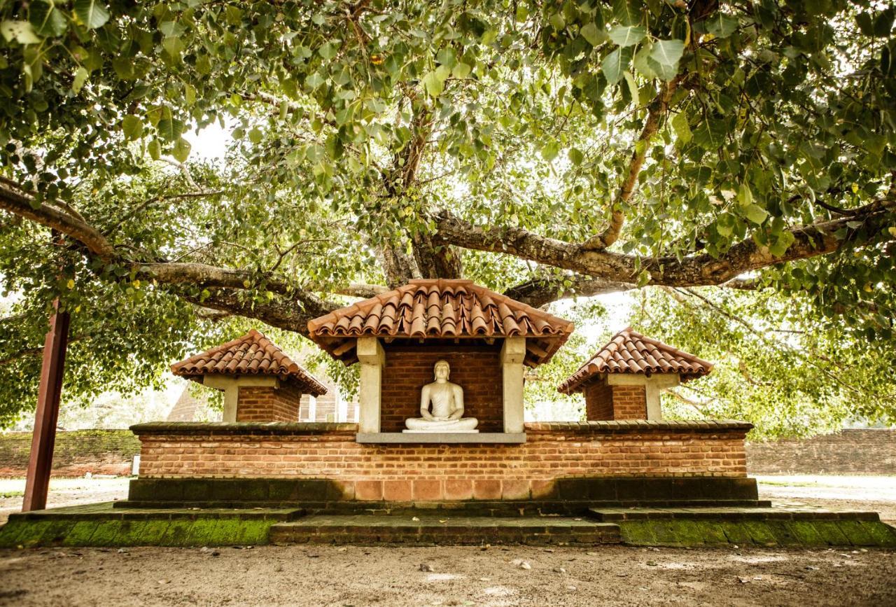 Thaulle Ayurveda Resort - Yala Tissamaharama Exteriér fotografie