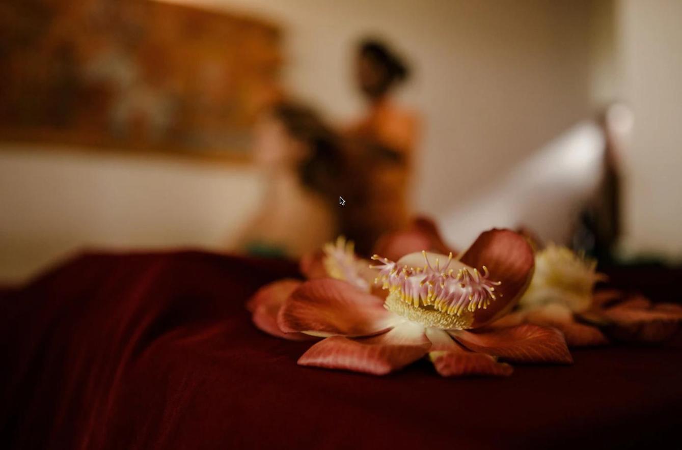 Thaulle Ayurveda Resort - Yala Tissamaharama Exteriér fotografie