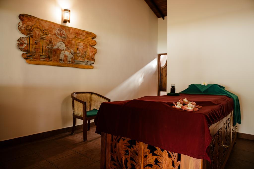 Thaulle Ayurveda Resort - Yala Tissamaharama Exteriér fotografie
