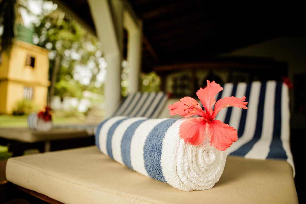Thaulle Ayurveda Resort - Yala Tissamaharama Exteriér fotografie