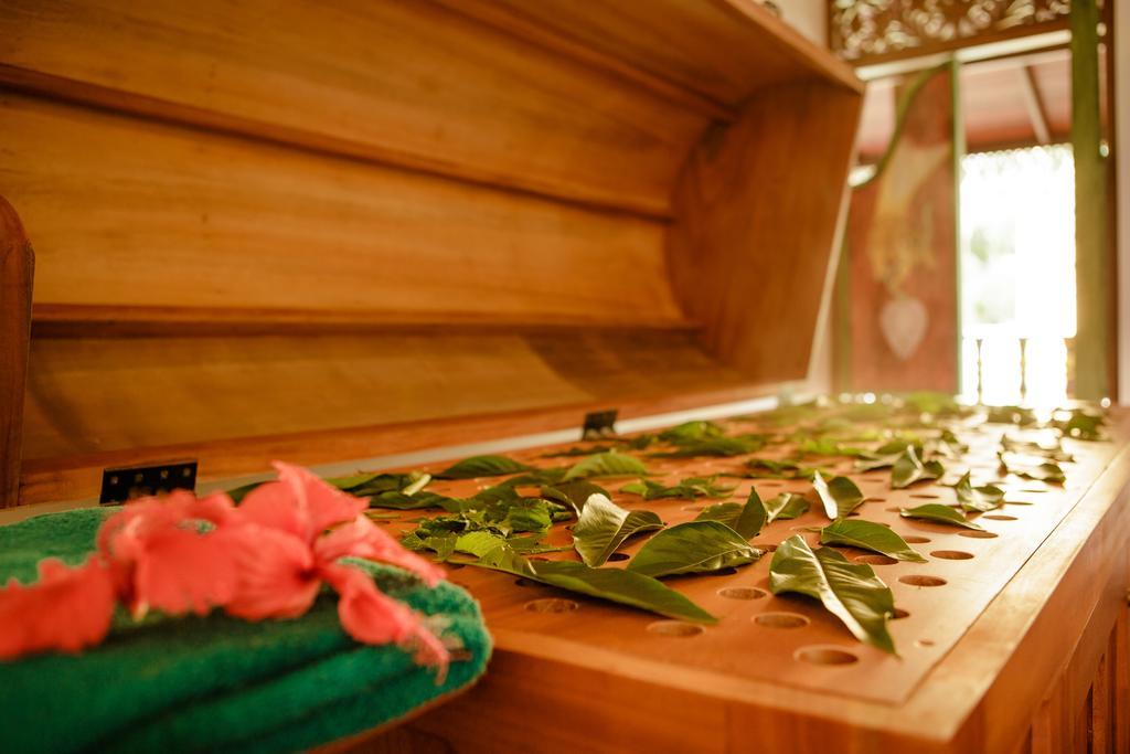 Thaulle Ayurveda Resort - Yala Tissamaharama Exteriér fotografie